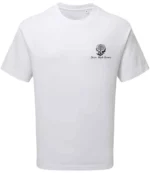 AM015 Unisex Organic Heavyweight T-Shirt - Image 7